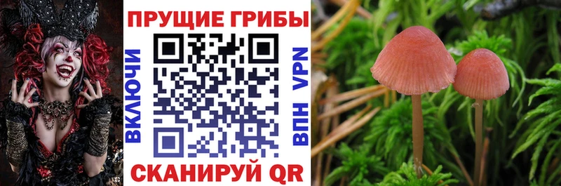 купить закладку  Тюмень  Псилоцибиновые грибы прущие грибы 