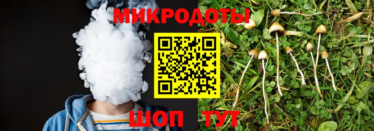 Галлюциногенные грибы Psilocybine cubensis Тюмень